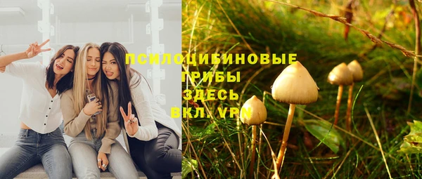 а пвп мука Абдулино