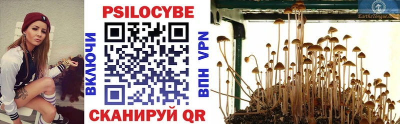 цены Черногорск Псилоцибиновые грибы Psilocybe